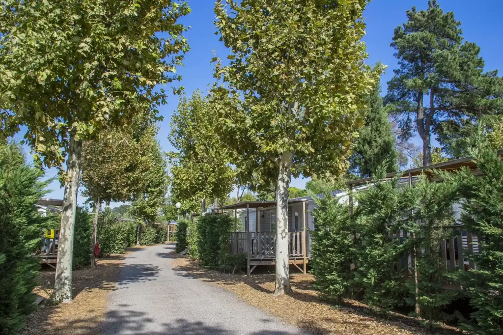 camping exterieur mobil home