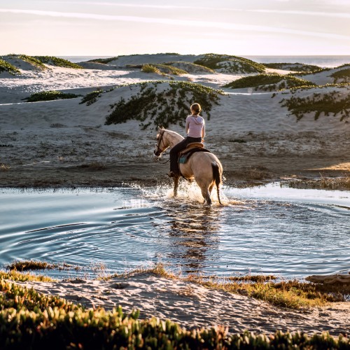 balade cheval argeles