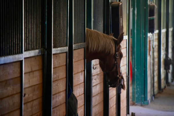 centre equestre argeles