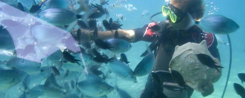Snorkeling à Argelès sur Mer