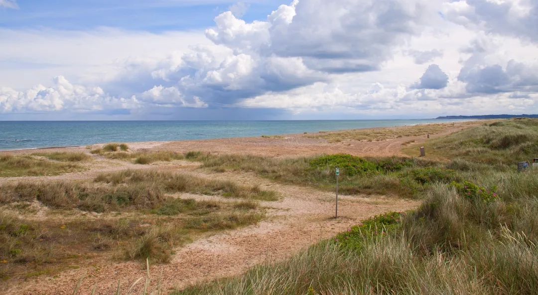 la réserve naturelle du Mas Larrieu près de Argelès sur Mer
